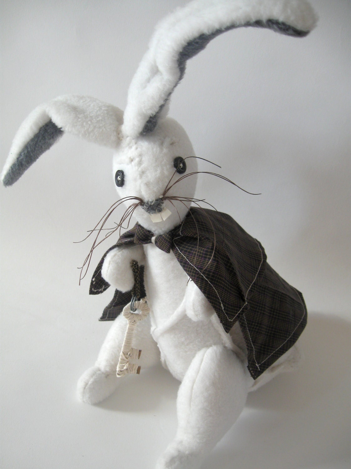 White rabbit