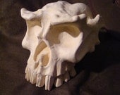 Troll Skull  Version 1  (Custom Order Listing for un-mounted troll skulls)