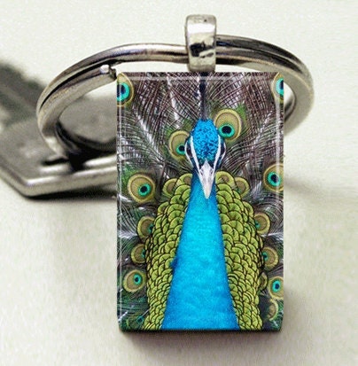 Domino Size Glass Metal Frame Key Chain-Peacock Bird Feathers