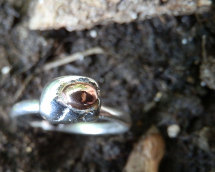 Organic Life - Sterling Silver & Copper Ring