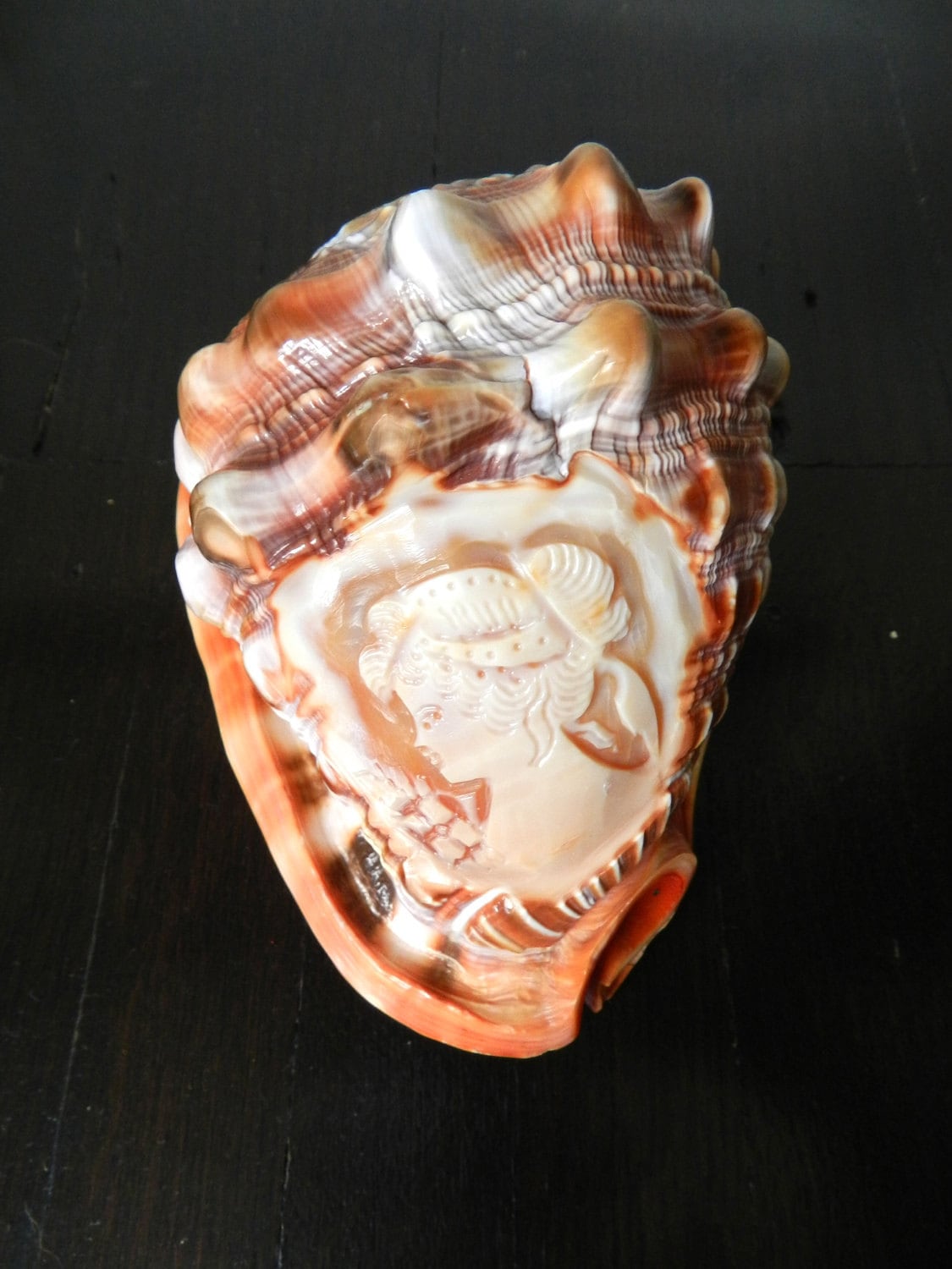 Carved Shell Cameo Antique Shell Cameo by GreySquirrelAntiques