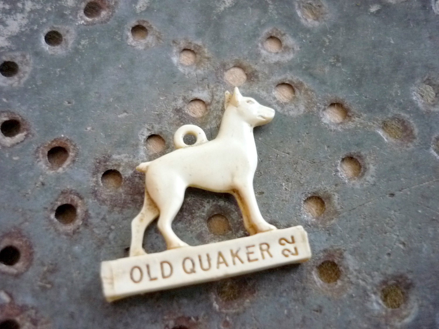 Quaker Dog