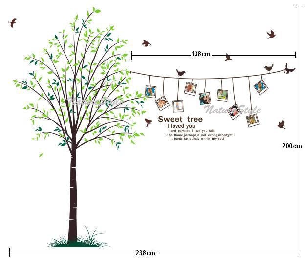 Beautiful Photograph on the tree-Vinyl Wall Decal,Sticker,Nature Design