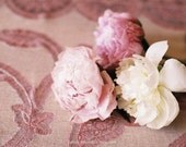 Romance in Paris wall art film photo pink peonies pastel garden flowers french - Love -  fine art film print 8 x 12