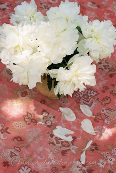 Wedding peonies film photography summer white coral garden flowers french romance - Les pivoines étude N.5  fine art film print 8 x 12