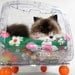 Upcycled T.V. Pet Bed - Cat Bed - Dog Bed - Mod Retro - Large Floral Mod Print - Good Mood Comfy Furniture