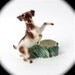 SALE /// Mid century Porcelain cocker spaniel Dog Planter large 1950s