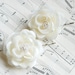 Ivory Wedding Hair Flowers clips Bridal Hair Flower Vintage Wedding Fascinator Bridesmaids Hair Rose Flower Wedding clips