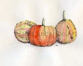 Pumpkin and Gourds  - Fine Art Card