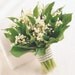 Lily of the Valley diffuser oil- May fragrance of the month