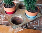 SALE - 4 Cup Planter Muffin Baking Tin Pan Holder Planter