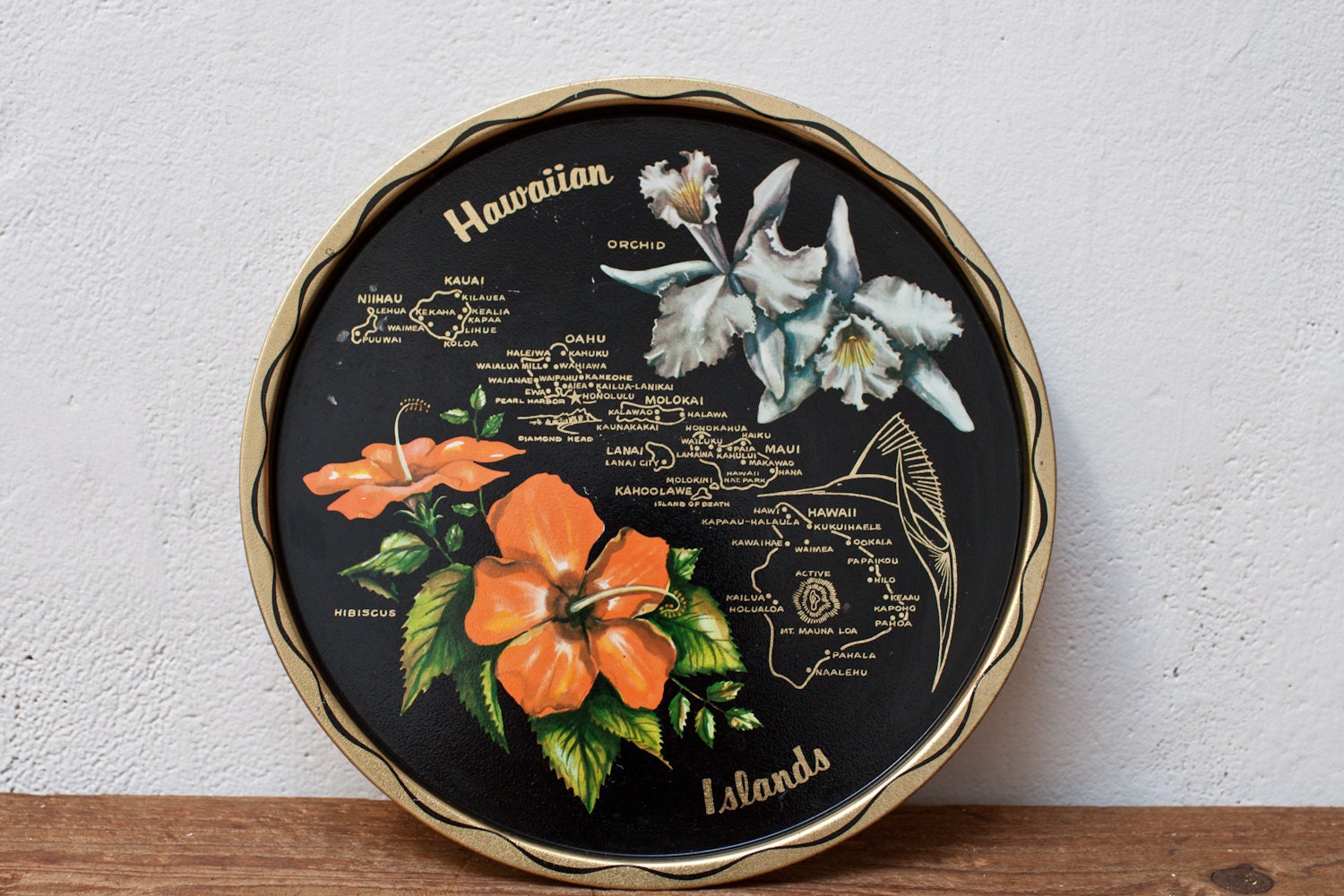 Hawaii Metal Plate Tray Souvenir