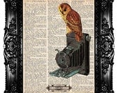 Owl PHOTOGRAPHER (1)  Upcycled Book Dictionary Print  Art Prints Vintage Book Print  Vintage Book Page Recycled   Buy 3 get 4th free