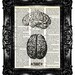 Upcycled Book Recycled Art Print Vintage Book Page Upcycled Dictionary Page Vintage Book Print BRAIN Anatomy 2  Buy 3 get 4th free
