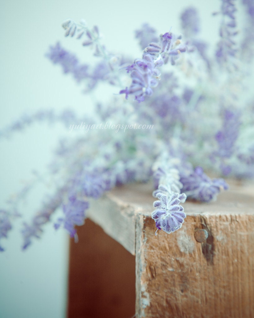 Print - Violet Fog - photography autumn mauve violet botanical wood crate wall home interior decor picture