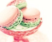 Peppermint Macarons - romantic shabby chic sweet photograph decor dessert kitchen cream pastels pink mint girl glamor for her