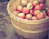 Apple Barrel - romantic kitchen decor rustic chef hostess for her valentine gift for her sweet red fruit shabby print fine art photography