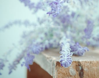 Print - Violet Fog - photography autumn mauve violet botanical wood crate wall home interior decor picture