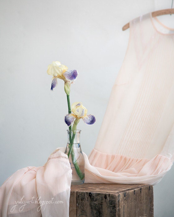 Iris Dream romantic photography nursery decor gift for her dreamy art flower photo floral print bridal shower pastels cream naturals shabby