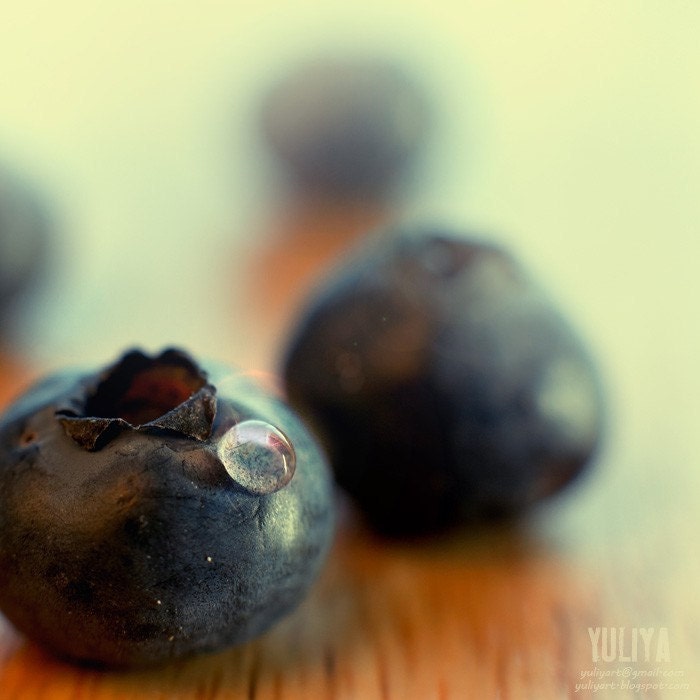 Blueberry Portrait - whimsical macro photo print wall decor retro art gift for her kitchen hostess woman sweet valentine love berry romance