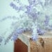 Print - Violet Fog - photography autumn mauve violet botanical wood crate wall home interior decor picture