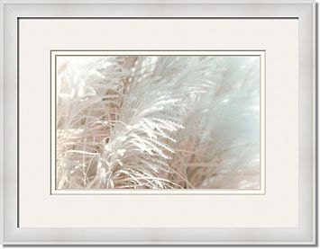 Silver Light - romantic shabby chic valentine gift for her fine art print whimsical dreamy nature photography botanical floral home decor