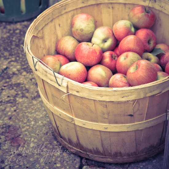 Apple Barrel - romantic kitchen decor rustic chef hostess for her valentine gift for her sweet red fruit shabby print fine art photography
