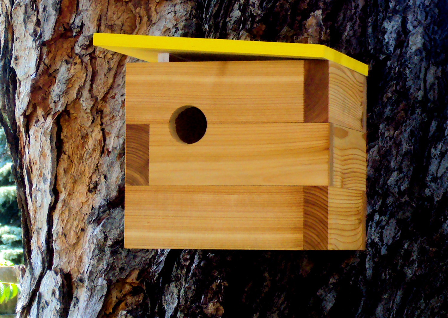 Mid Century Inspired Modern Cedar Birdhouse in Chartreuse