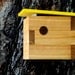 Mid Century Inspired Modern Cedar Birdhouse in Chartreuse