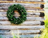 BEAUTIFUL BOXWOOD Wreath-LARGE Door Wreath-YearRound Wreath-Spring Grapevine Wreath-Scented Apple Cinnamon-Choose Scent & Ribbon