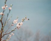 Flight of the Bumblebee
