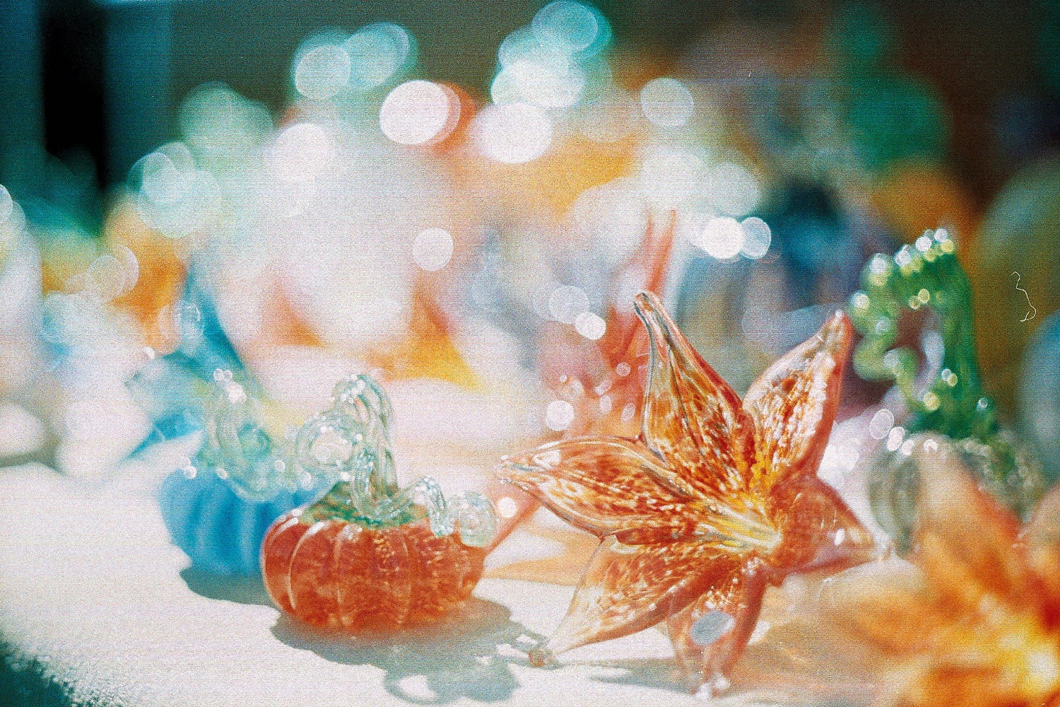 Glass Flowers