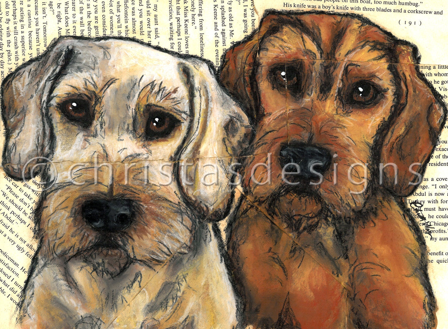 Wiredhaired Dachshund 8x10 Art Print