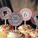 Silhouette Barbie Cupcake Toppers/Tags