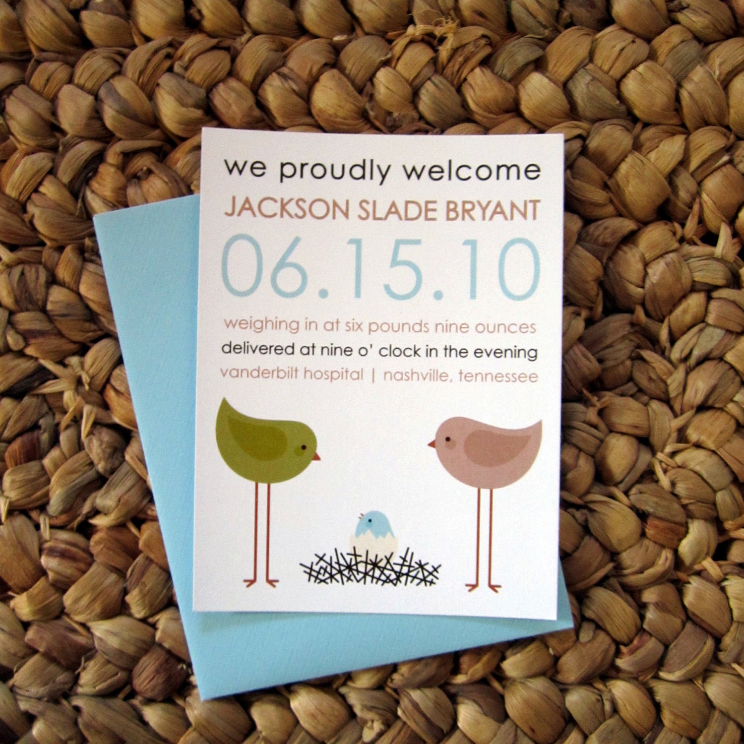 Set of 12 Bird and Nest Birth Announcements
