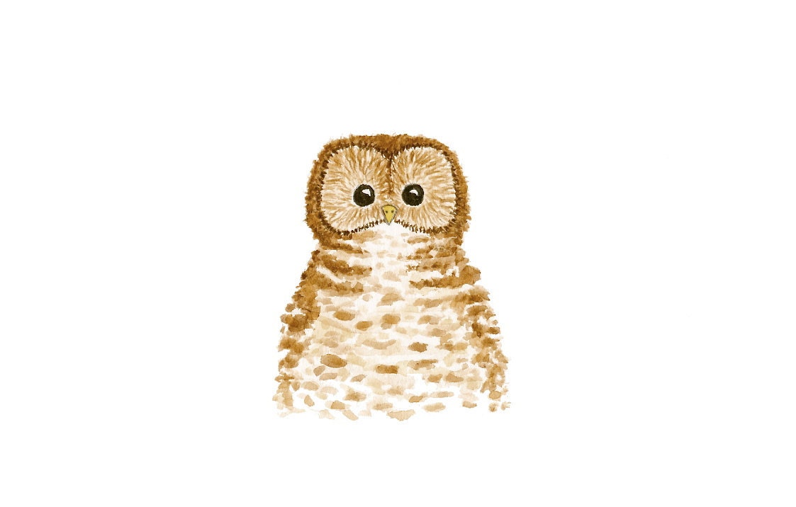 SALE - 15% OFF - Owl Print - 5 x 7