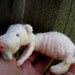 Weird creepy animal needle felted naked mole rat pink