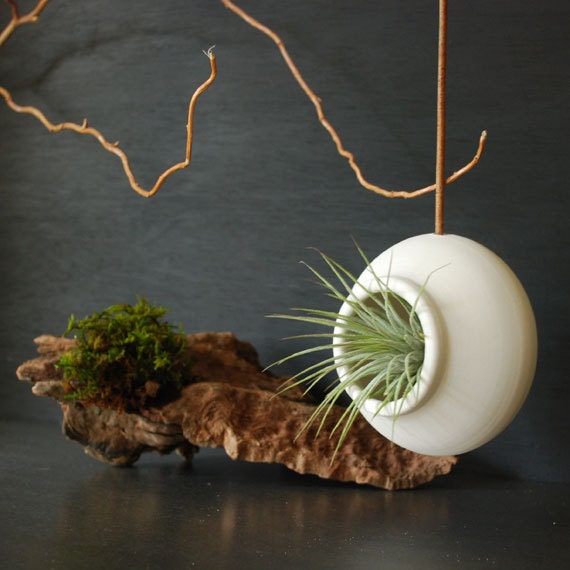 Round hanging air planter
