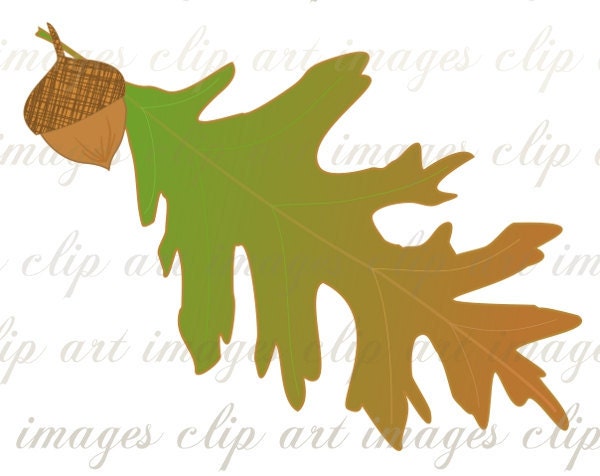 free clip art oak leaf - photo #44