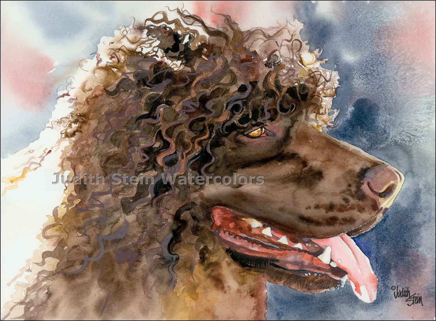 IRISH WATER SPANIEL Dog 15x11 Giclee Watercolor Print