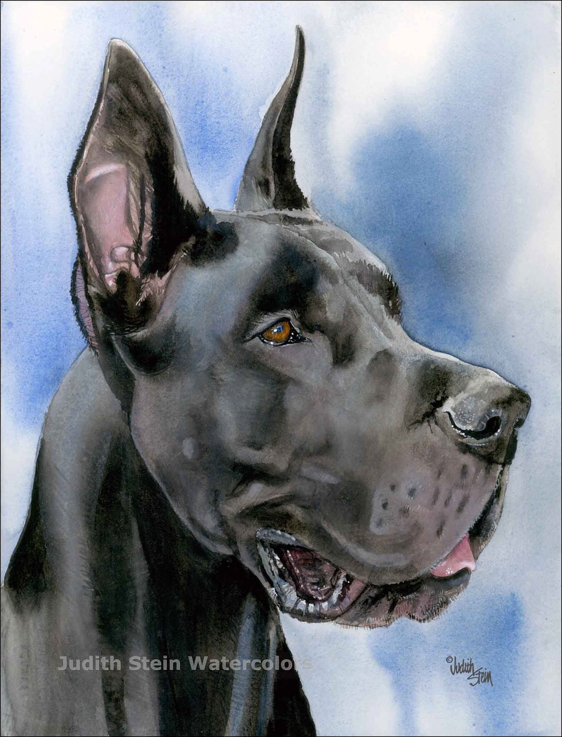 danish dane