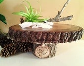 TREASURY ITEM - 12" Rustic Wedding Cake Stand   - Natural Oak bark tree trunk slice with Oak Engraved Tag