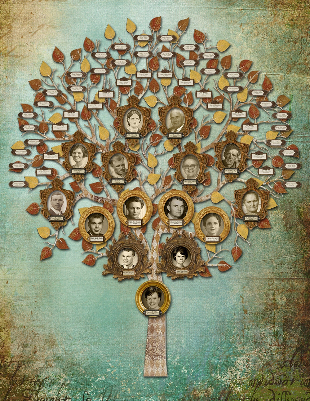 Family Tree - Multi Generation Tree with Photos and Labels in Blue