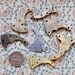 Lot of 7 Vintage pocket watch movement parts.