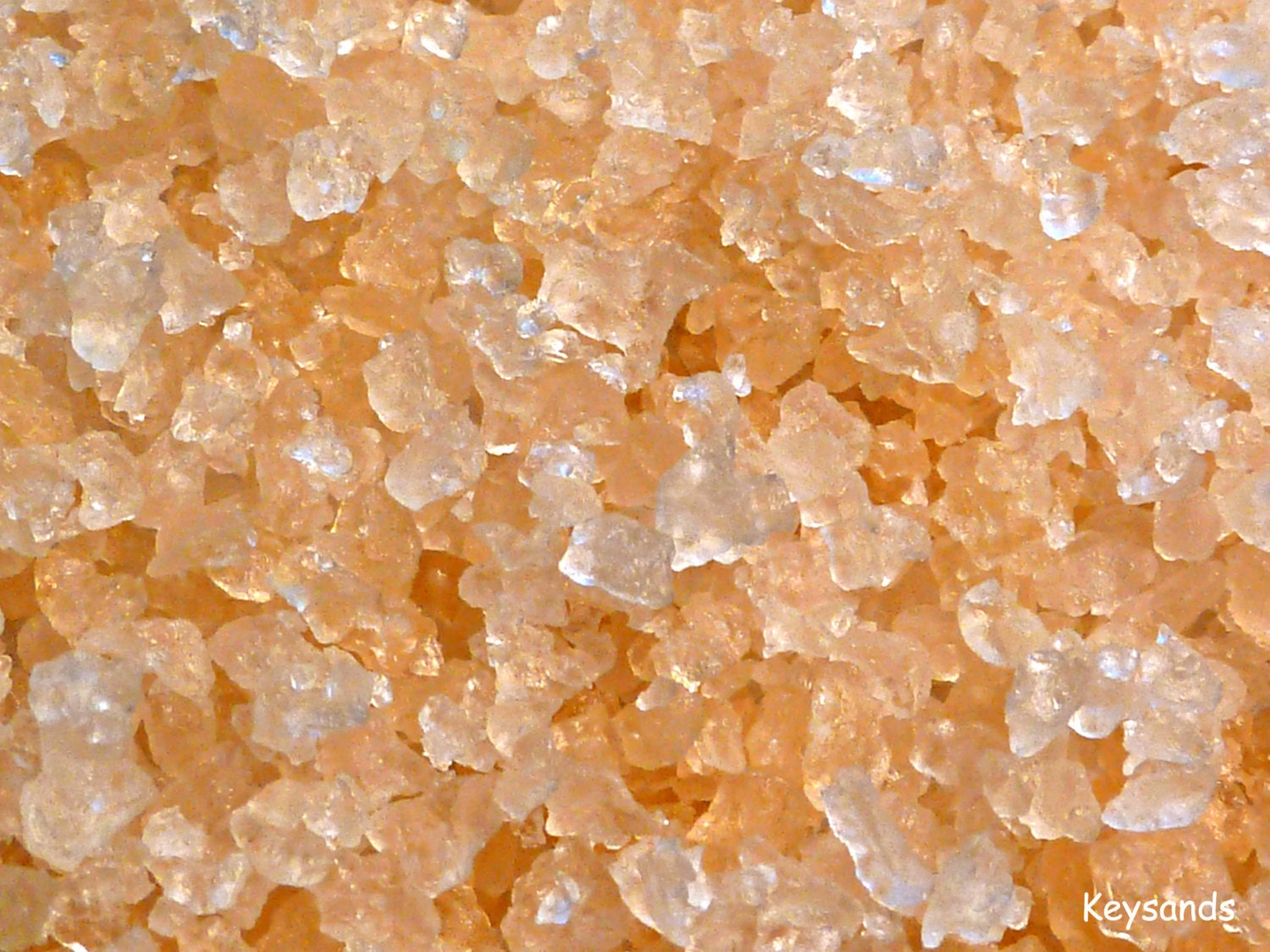 Dehydrated Organic Water Kefir Grains Crystals Tibicos by Keysands