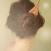 Romantic Paris hair fork
