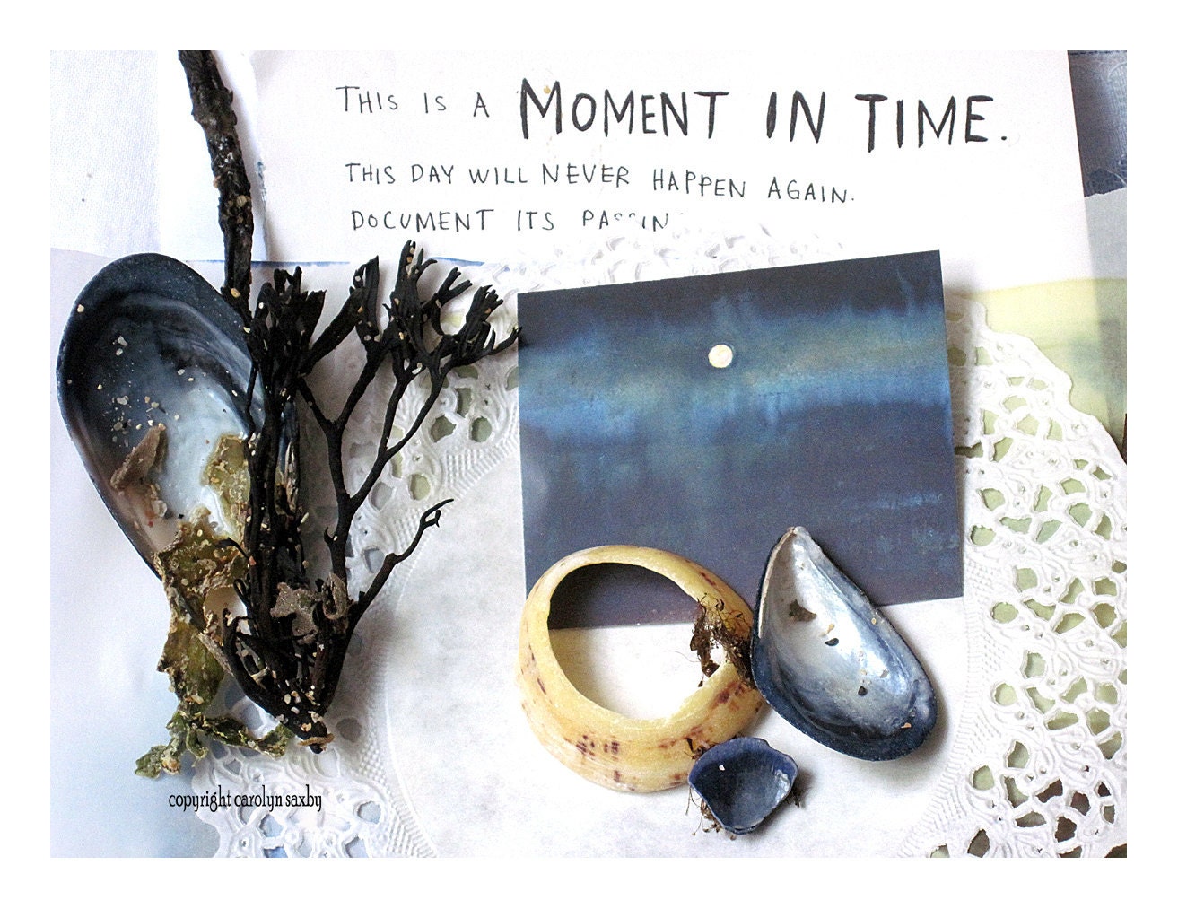 MOMENT IN TIME - still life - mussel shells and seaweed - art card