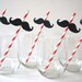 SALE - Photo Booth Props - Mustache Straw Photo Props - Set of 5 - Mustaches on RED Striped Paper Straws