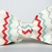 Blue and Coral Zig Zag Stripe Men's Bow Tie