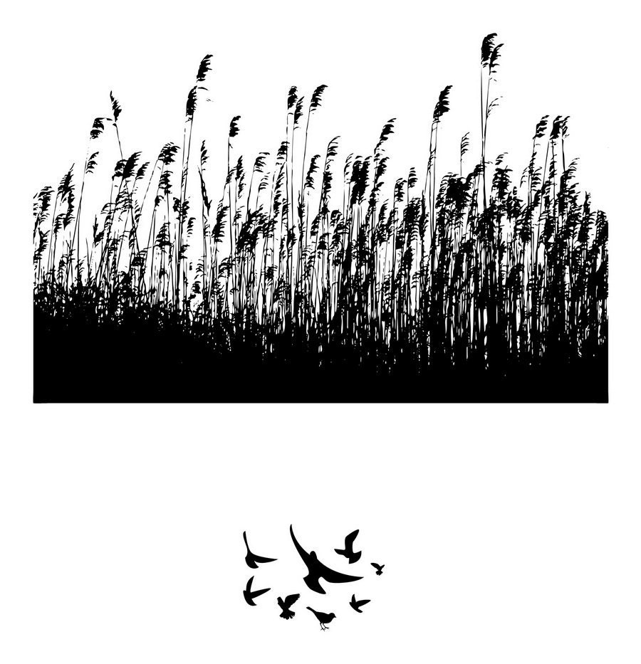 Wall Decal Birds and Wheat 22118